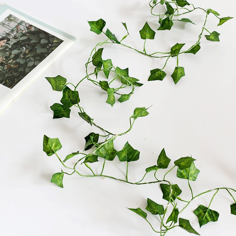 ivy led string lights