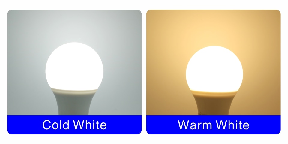 Cold / Warm White LED Bulb